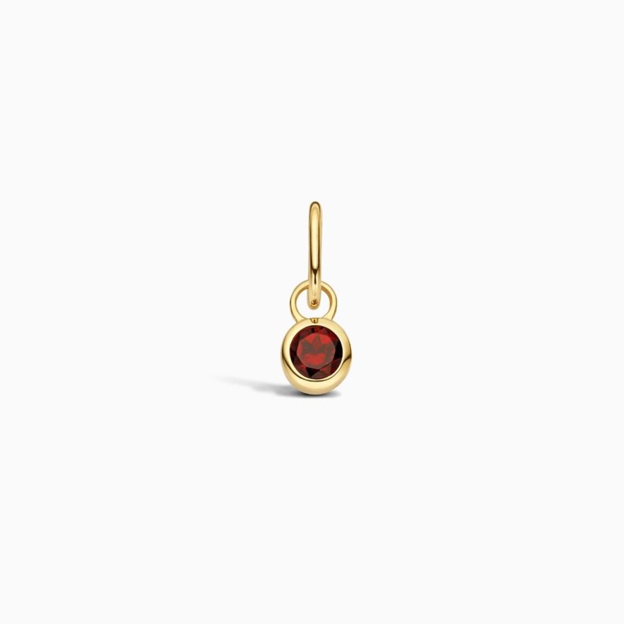 Hot Eline Rosina Birthstone Charm January