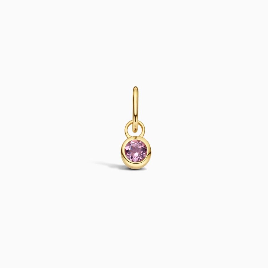 Hot Eline Rosina Birthstone Charm February